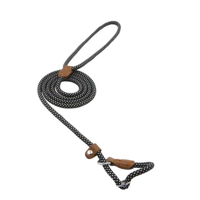 Set Collar y Correa de Nylon para Perros | Resistente y Ajustable
