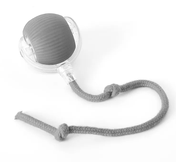 Bola de Juguete para Gatos PurrPlay Autómotriz