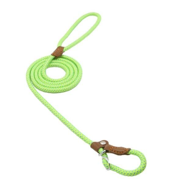 Set Collar y Correa de Nylon para Perros | Resistente y Ajustable