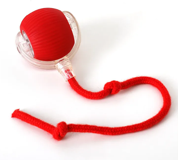 Bola de Juguete para Gatos PurrPlay