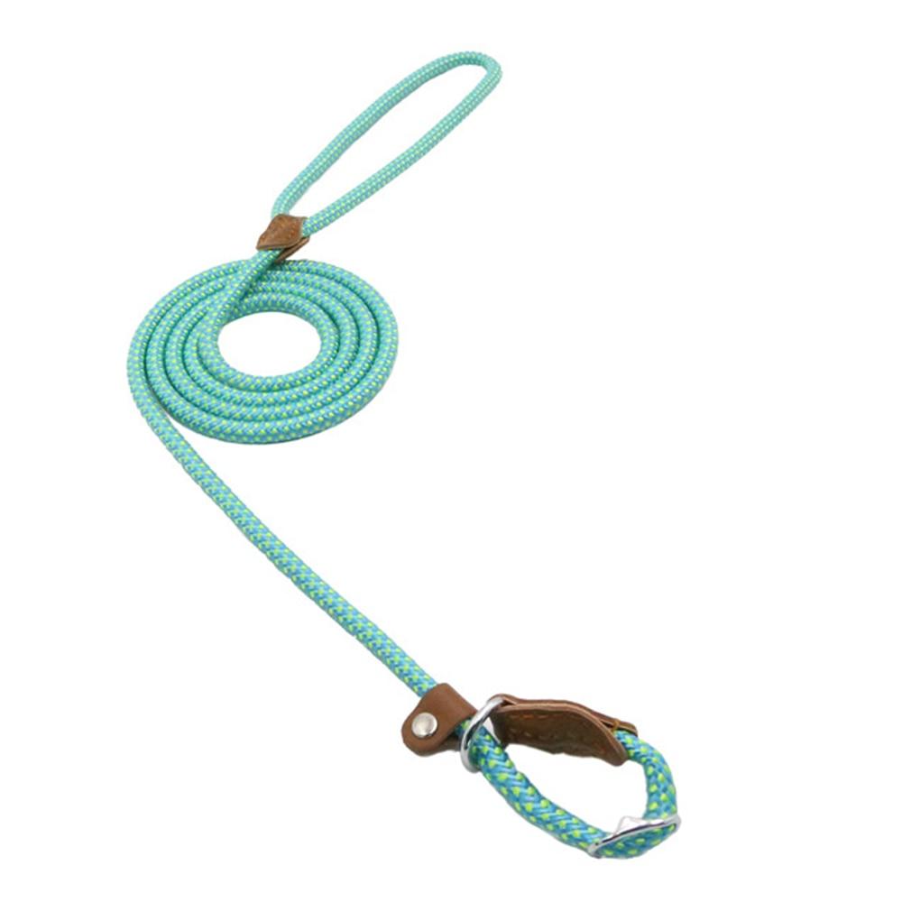 Set Collar y Correa de Nylon para Perros | Resistente y Ajustable