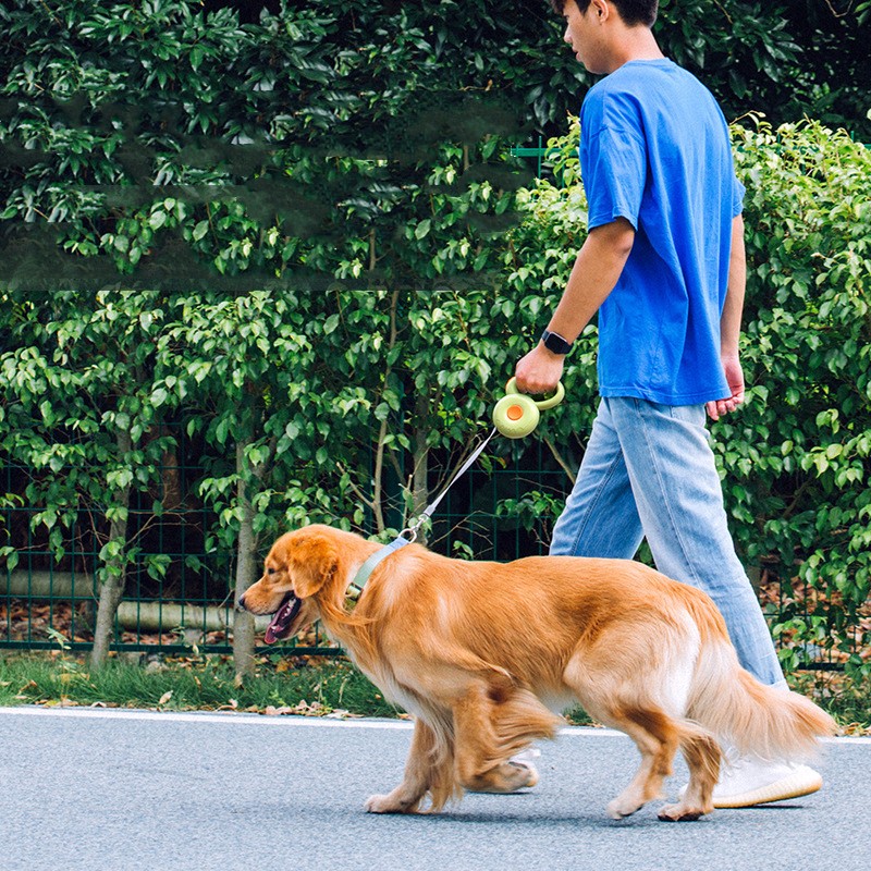 Correa Retráctil Reflectante para Perros