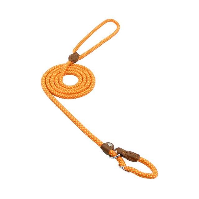 Set Collar y Correa de Nylon para Perros | Resistente y Ajustable
