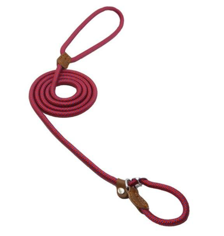 Set Collar y Correa de Nylon para Perros | Resistente y Ajustable