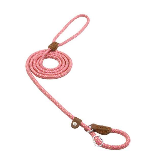 Set Collar y Correa de Nylon para Perros | Resistente y Ajustable