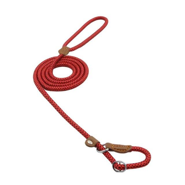 Set Collar y Correa de Nylon para Perros | Resistente y Ajustable