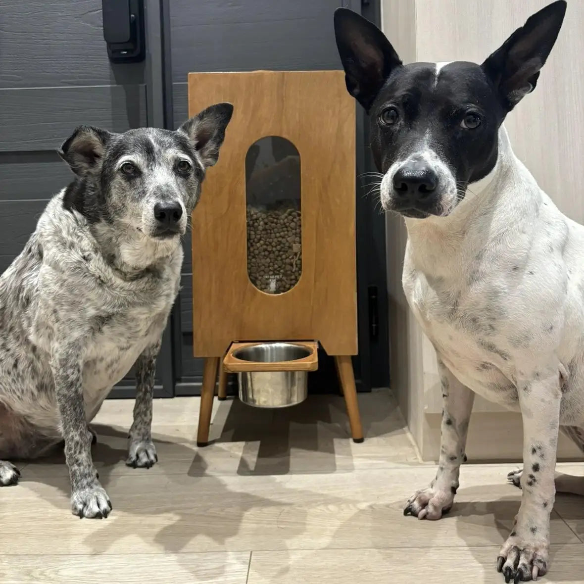 Wholesale Walnut-Wood Pet Feeder | Large Capacity Gravity Food Dispenser | Manual Portion Control for Cats & Dogs-7