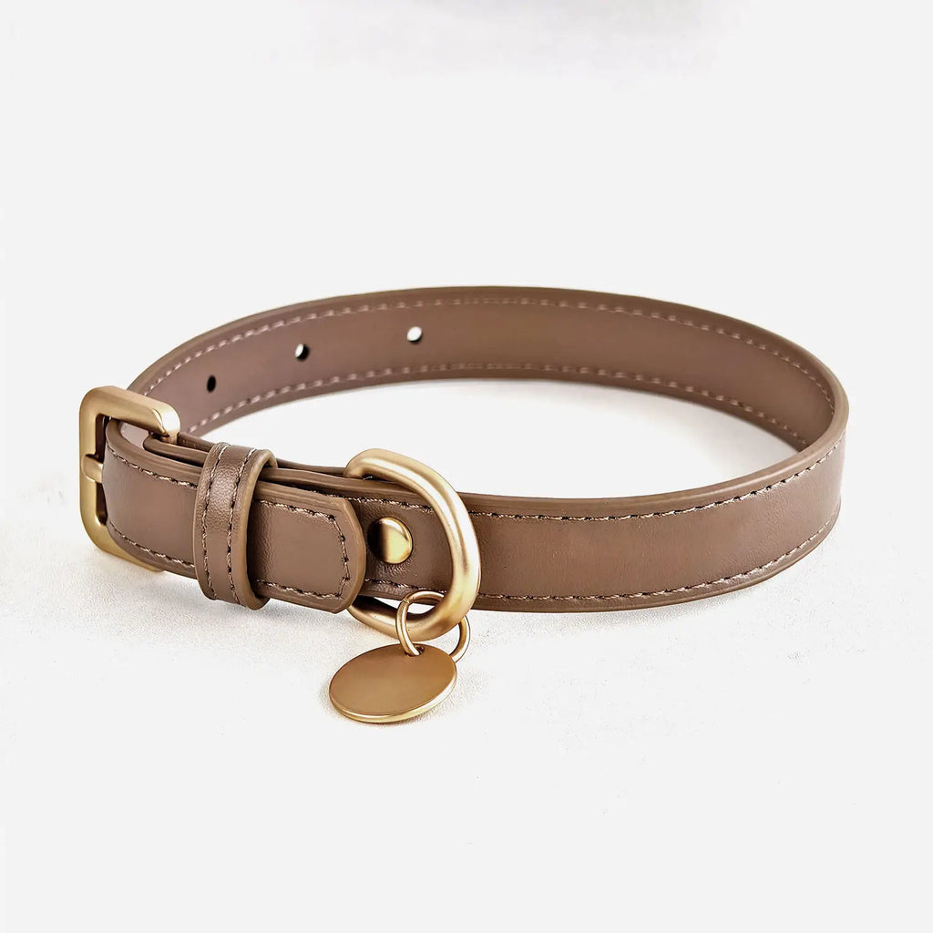 Set Premium Correa y Collar para Mascotas