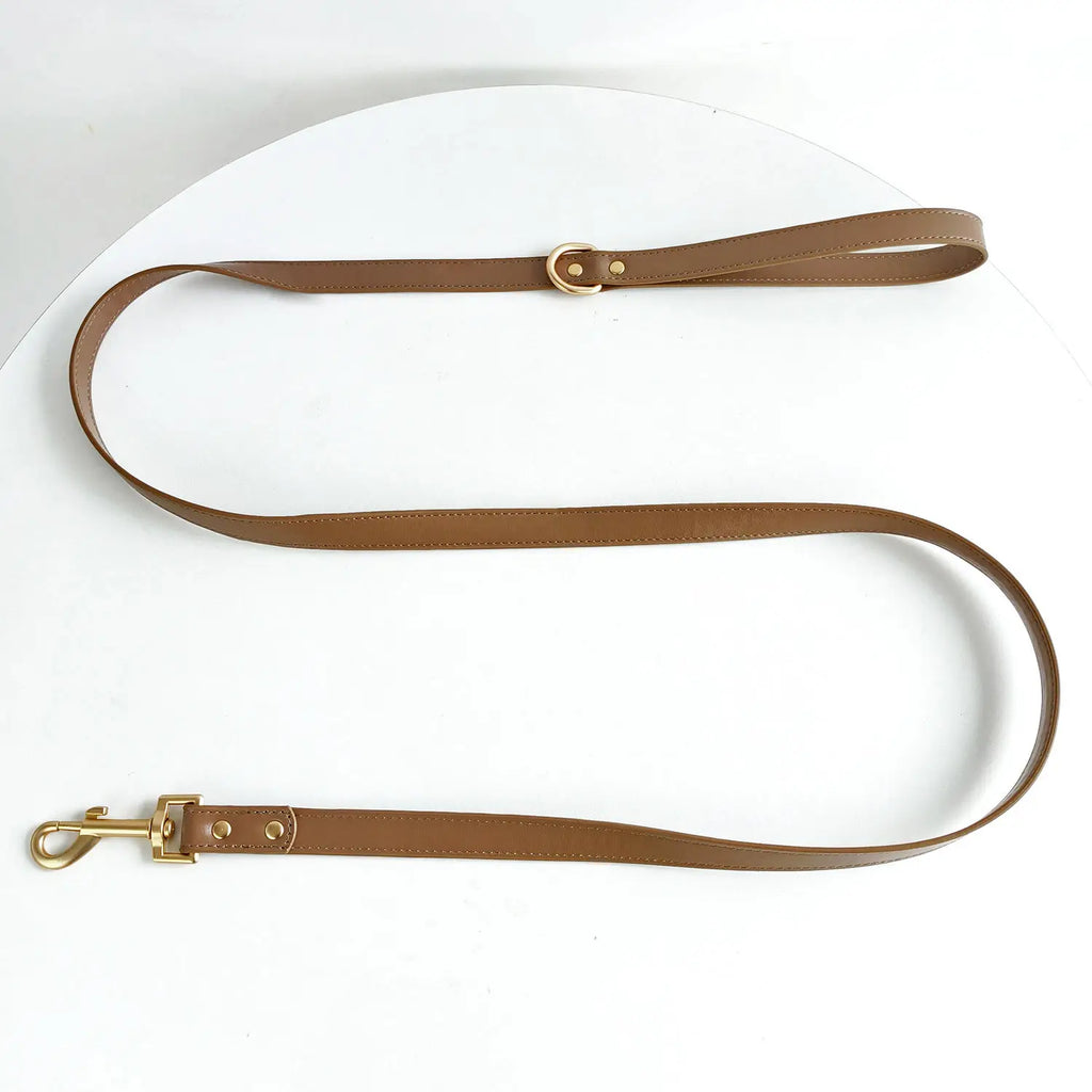 Set Premium Correa y Collar para Mascotas